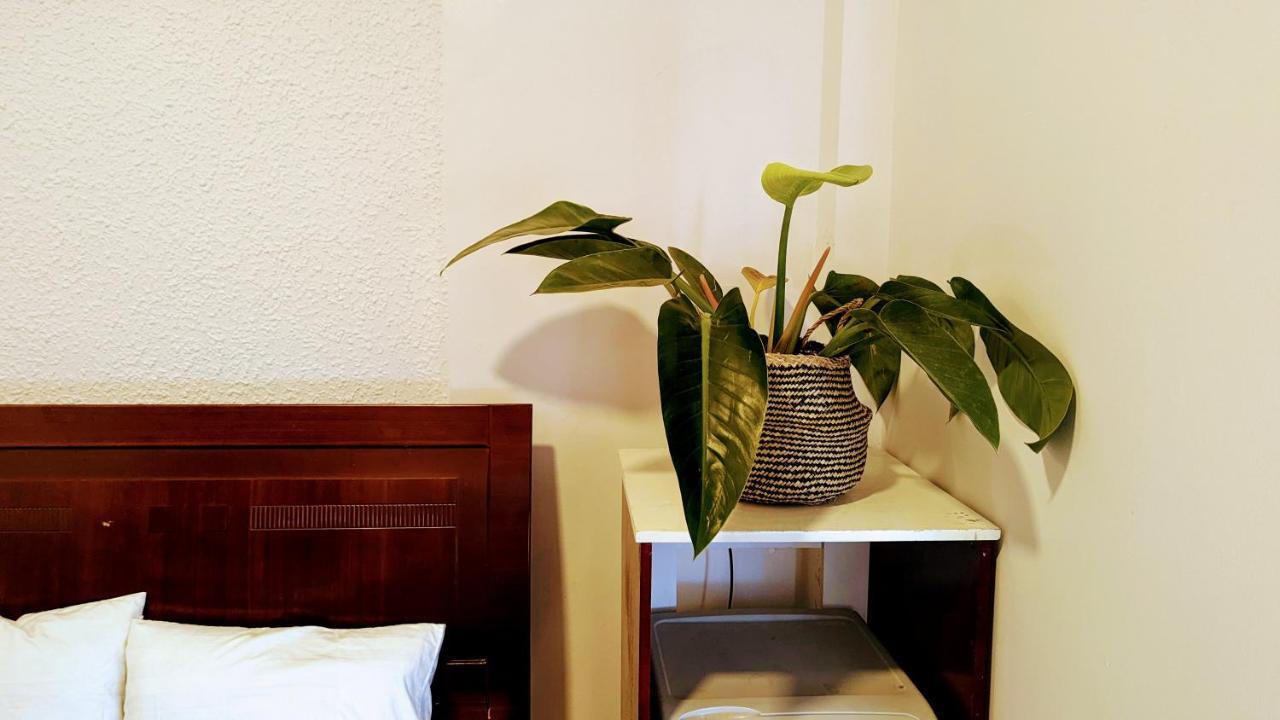 Wasabi House - Homestay Ben Cho Да Лат Екстериор снимка